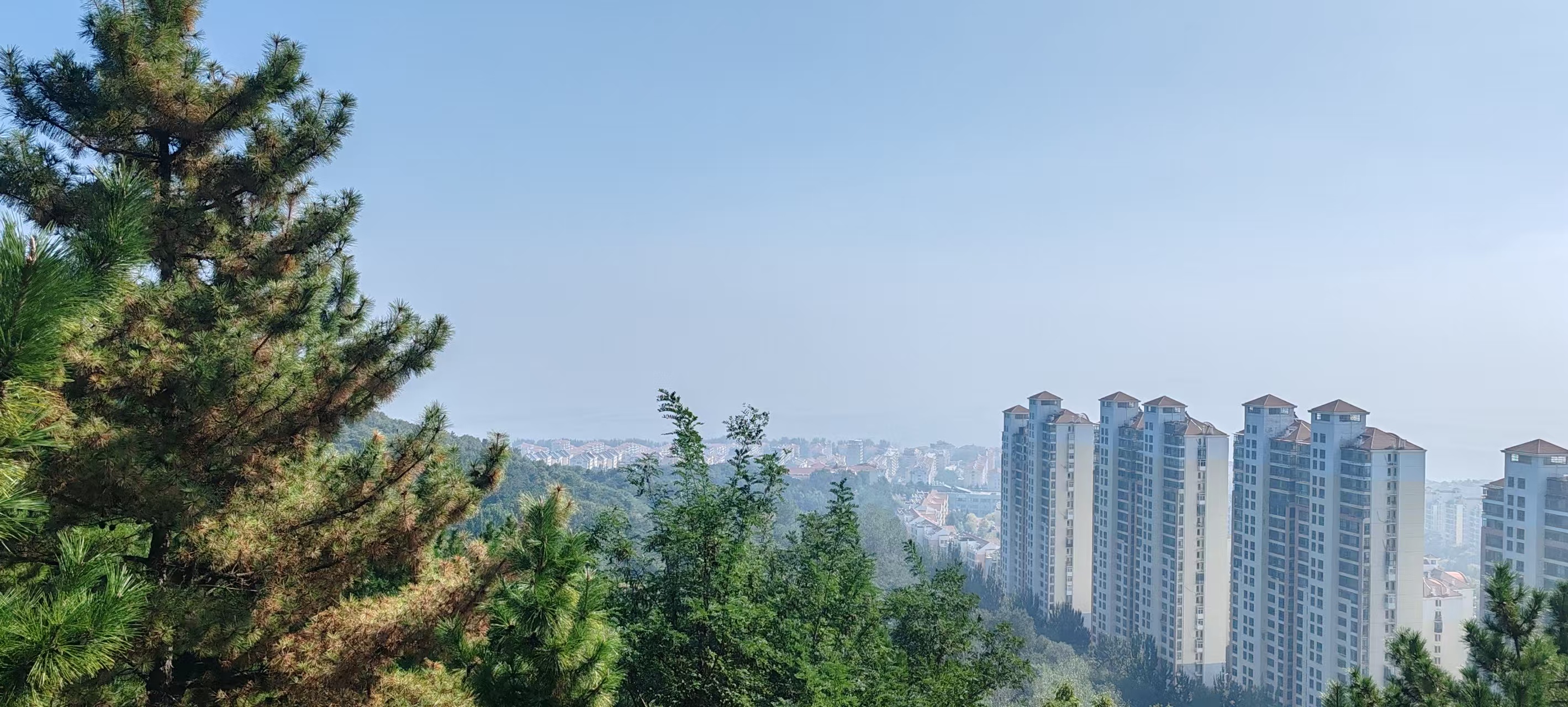 1764754874275747.jpg 煙檯(tai)登頂.jpg